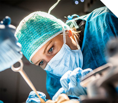 Dentist performing a treatment on a patient