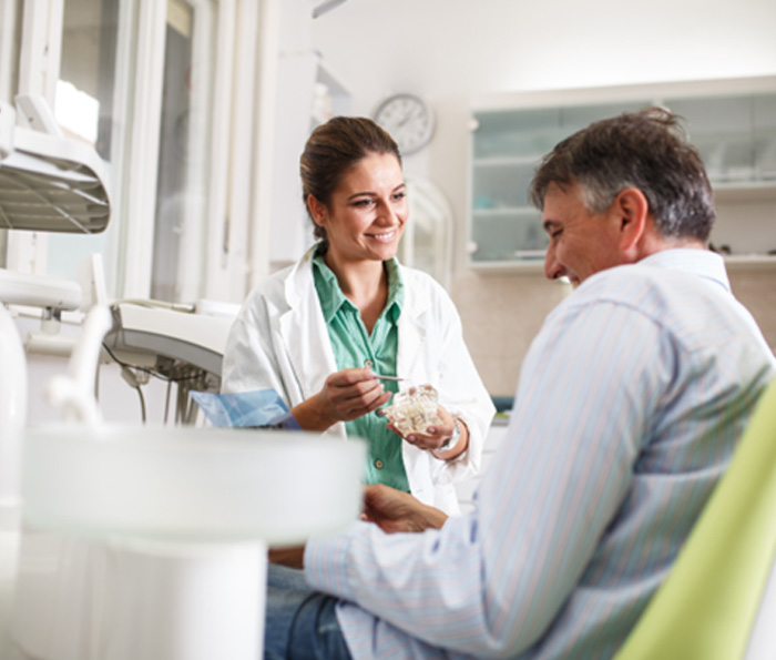 Smiling dentist showing patient model of teeth